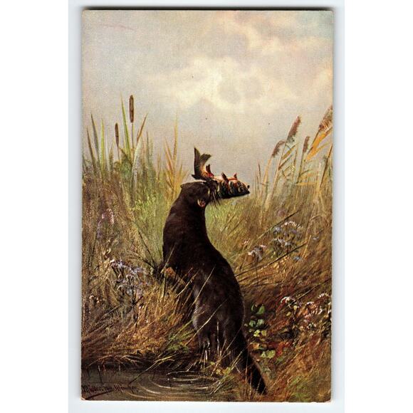 Signed Muller Artist Card Otter with Fish Vintage Postcard 5.5x3.5in - Picture 1 of 2